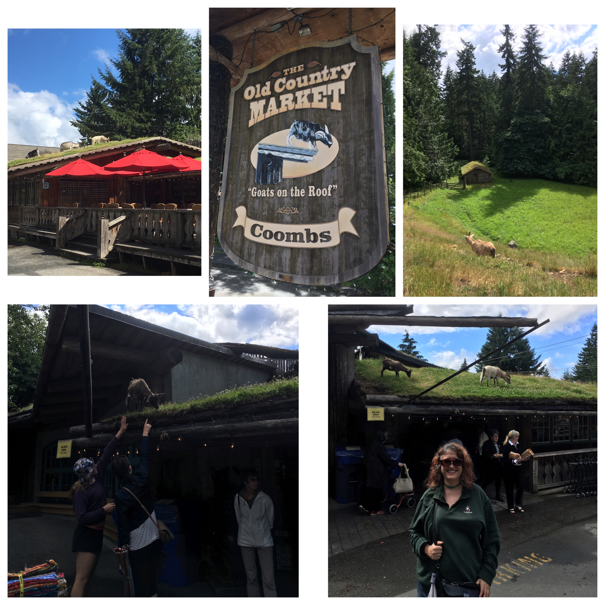 Coombs Bc Goats on a Roof: Old Country Market, Coombs B.C. – Rebecca Radnor's ...