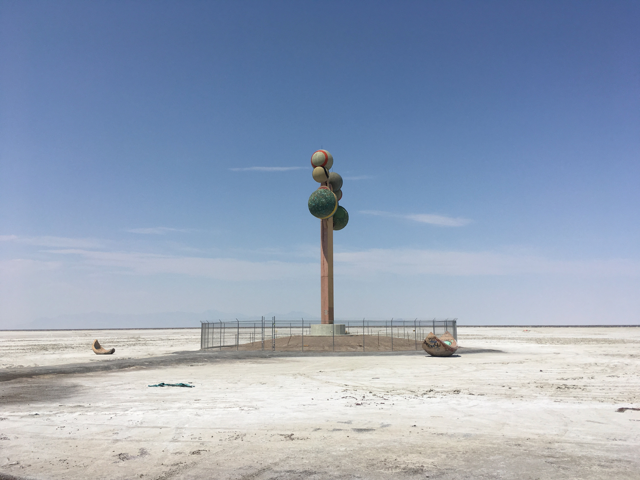 Wendover Tree Metaphor – Tree of Utah: Wendover, UT – Rebecca Radnor's Personal Blog ...