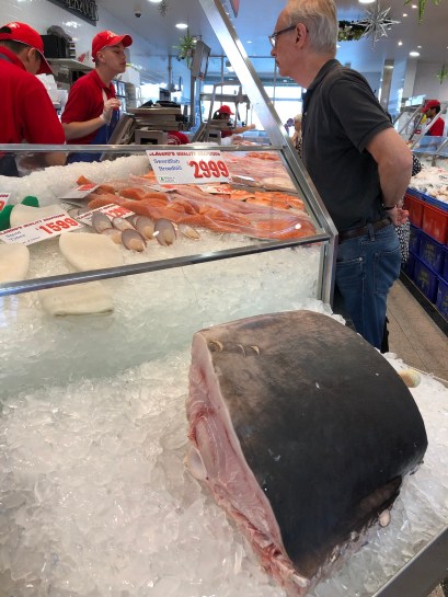 PjchkQ79QSi4xQU36h1ezw