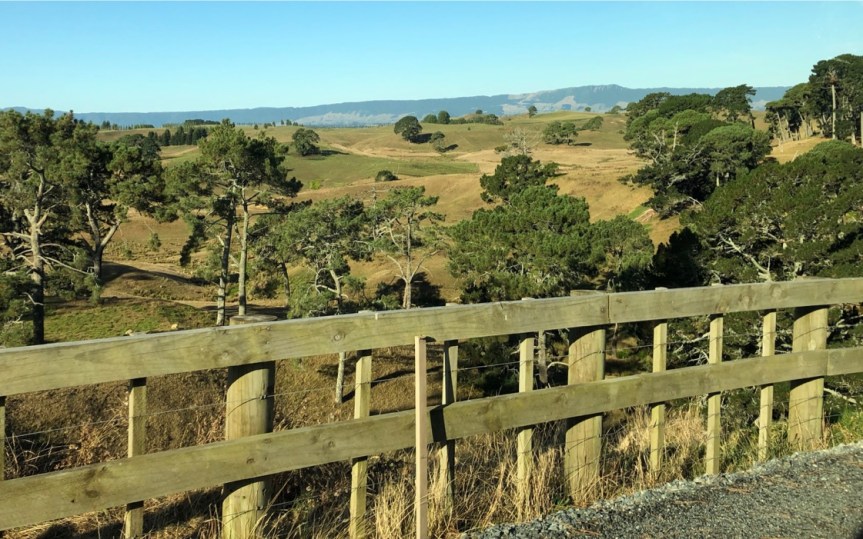 UNADJUSTEDNONRAW_thumb_290d