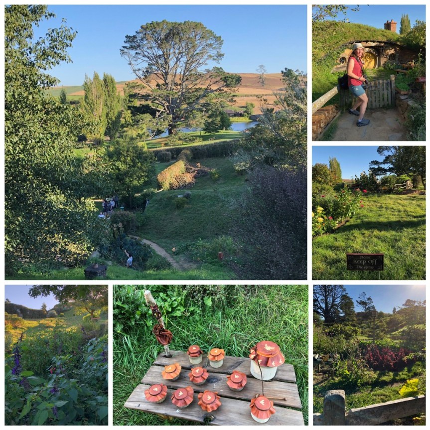 UNADJUSTEDNONRAW_thumb_2961