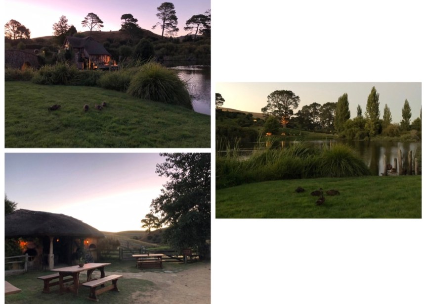 VgX5rWNlTraQf9D9S8UfEA_thumb_d92d